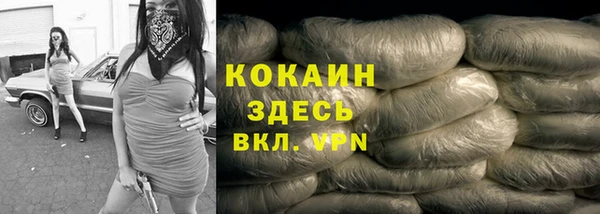 стаф Козловка