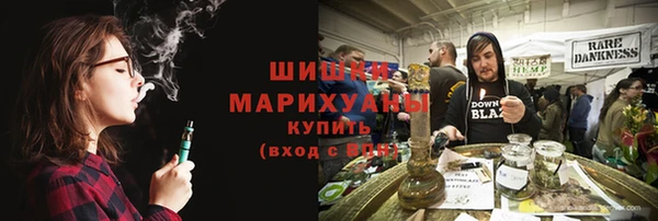 2c-b Козельск