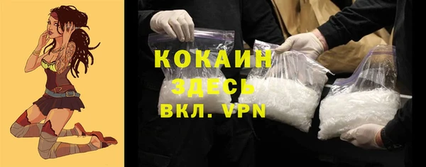 ешки Куртамыш