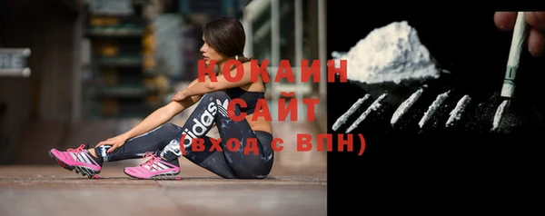 ГАЛЛЮЦИНОГЕННЫЕ ГРИБЫ Карпинск