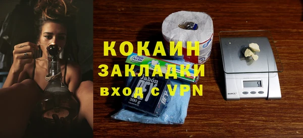 ГАЛЛЮЦИНОГЕННЫЕ ГРИБЫ Карпинск