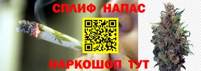 Альфа ПВП Комсомольск-на-Амуре