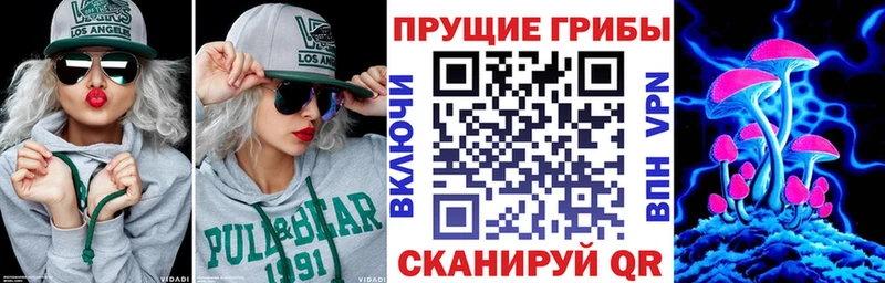 наркошоп  Михайловка  Галлюциногенные грибы Psilocybe 