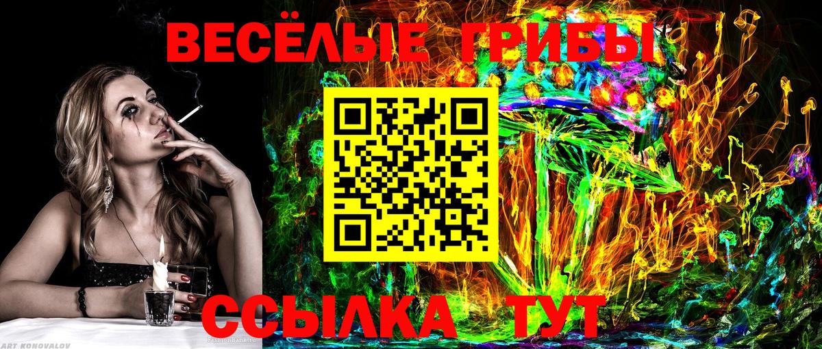 Михайловка  Псилоцибиновые грибы прущие грибы  Вход с VPN  Галлюциногенные грибы мицелий 