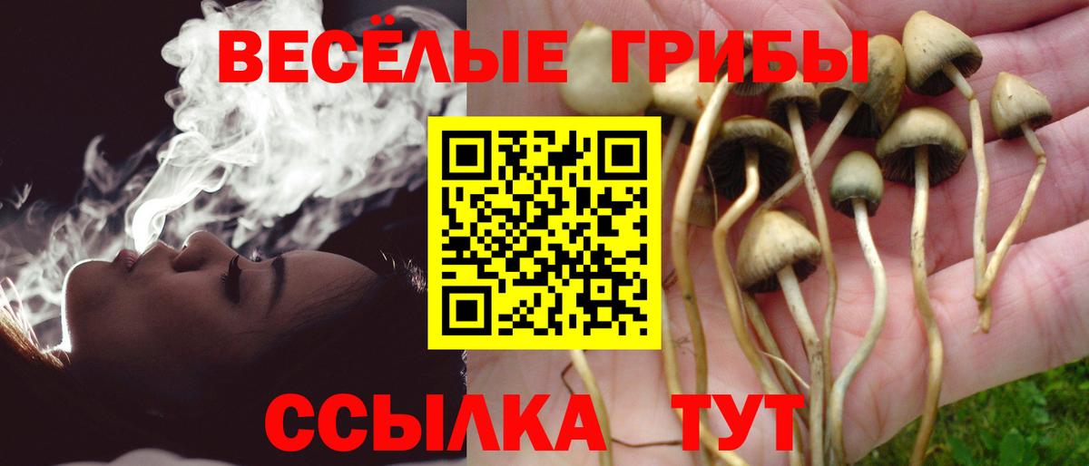 Alpha-PVP Михайловка